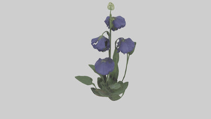 Monkshood model 3D model