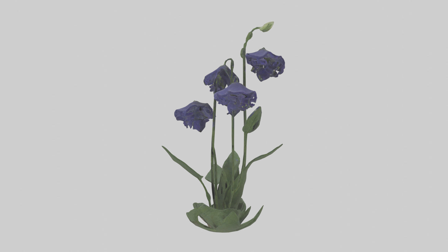 Monkshood model 3D model