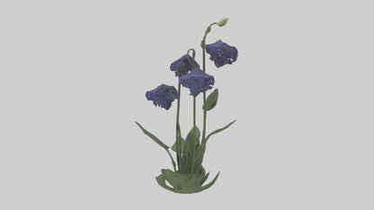 Monkshood model 3D model