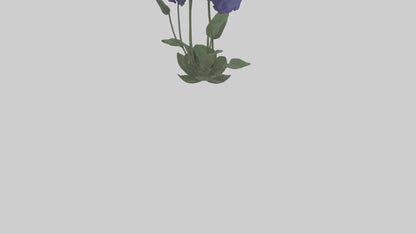 Monkshood model 3D model