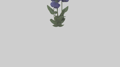 Monkshood model 3D model