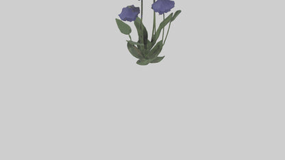 Monkshood model 3D model