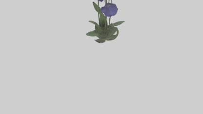 Monkshood model 3D model