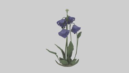 Monkshood model 3D model