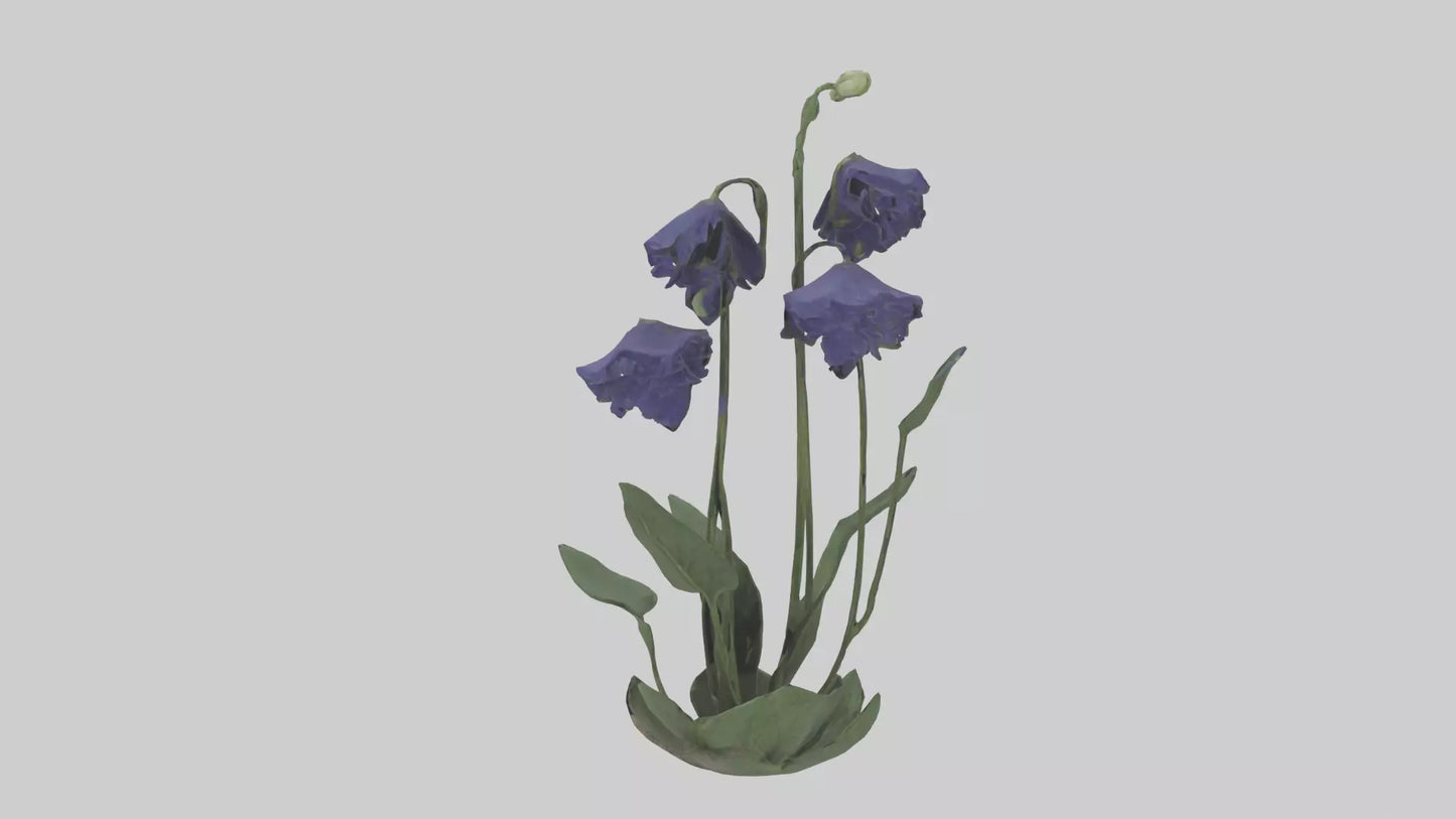Monkshood model 3D model
