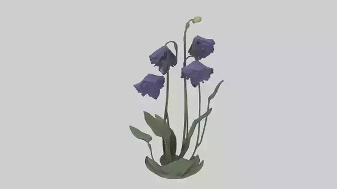 Monkshood model 3D model