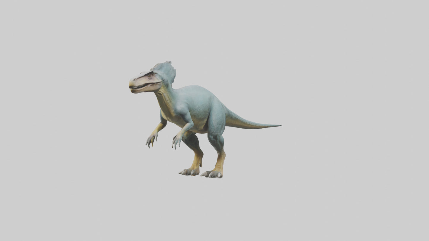 Monolophosaurus model 3D model