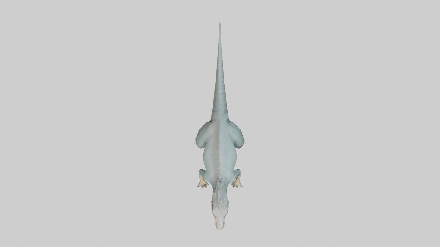 Monolophosaurus model 3D model