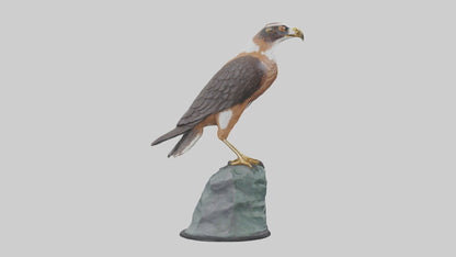 Montagus Harrier statue model 3D model