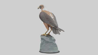 Montagus Harrier statue model 3D model