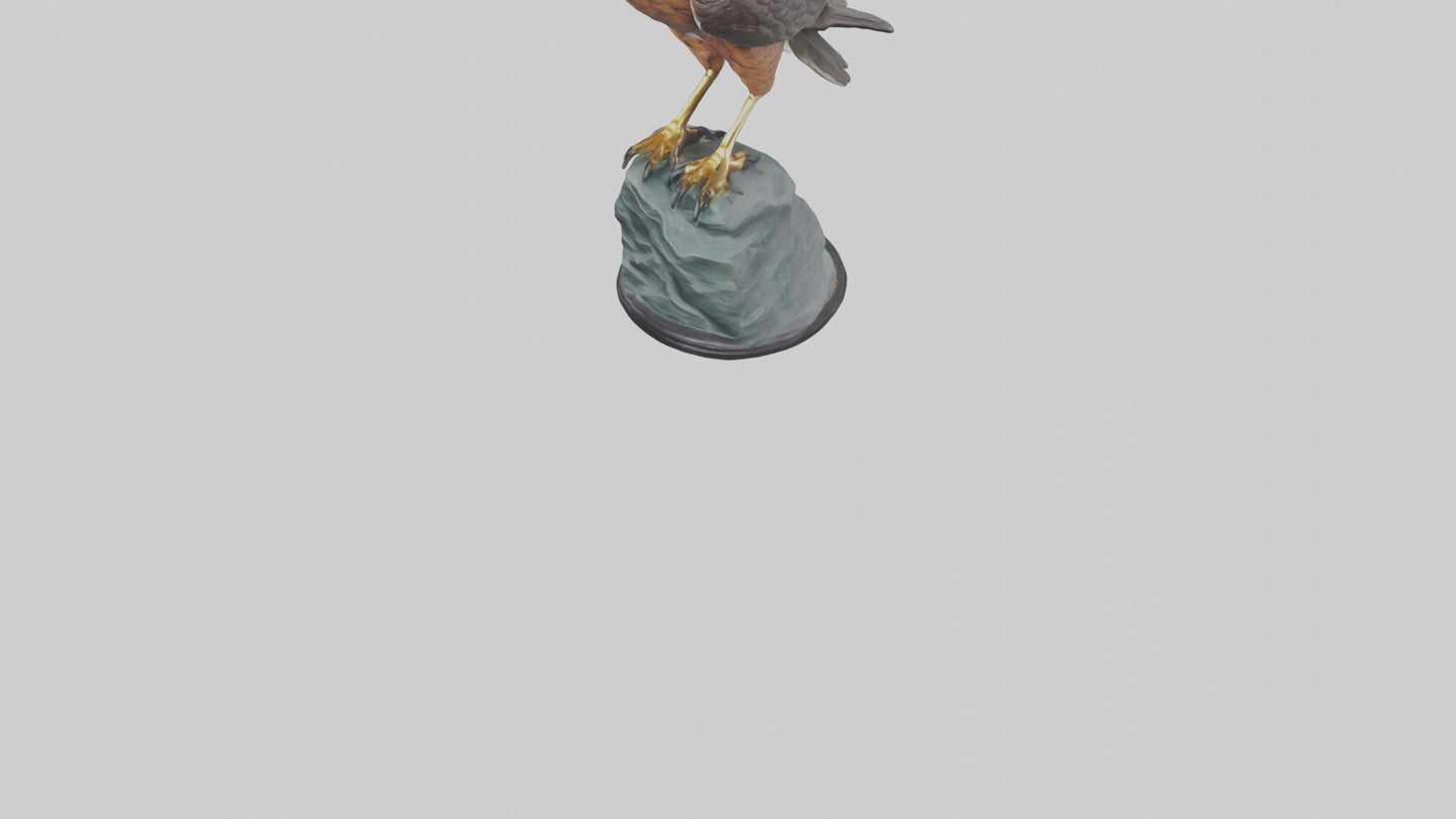 Montagus Harrier statue model 3D model