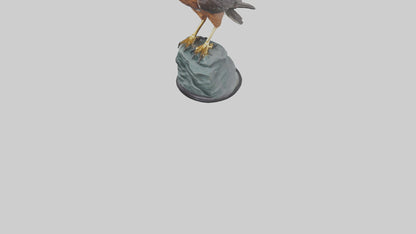 Montagus Harrier statue model 3D model