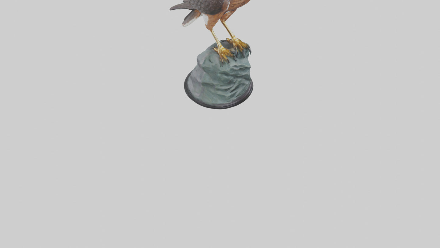 Montagus Harrier statue model 3D model