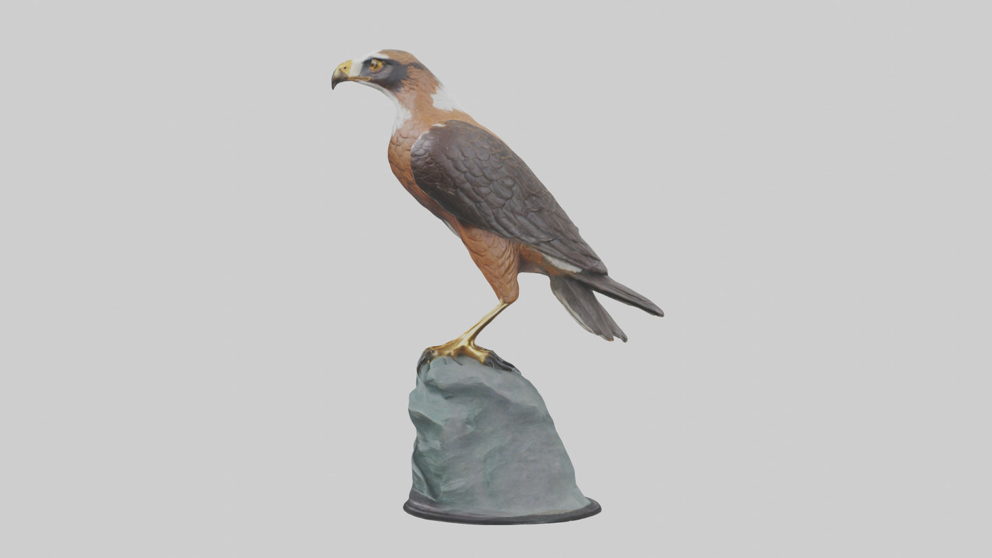 Montagus Harrier statue model 3D model
