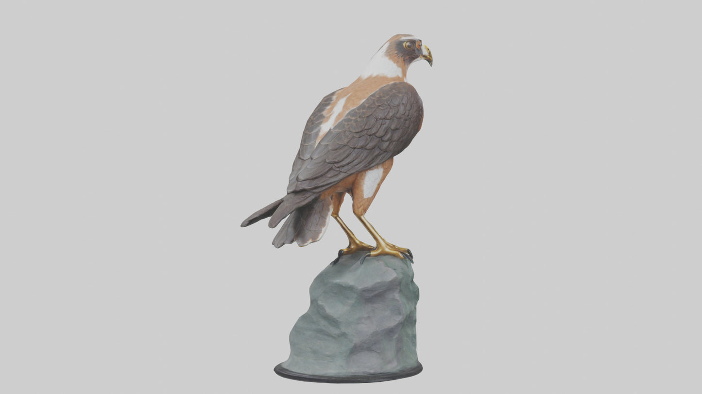 Montagus Harrier statue model 3D model