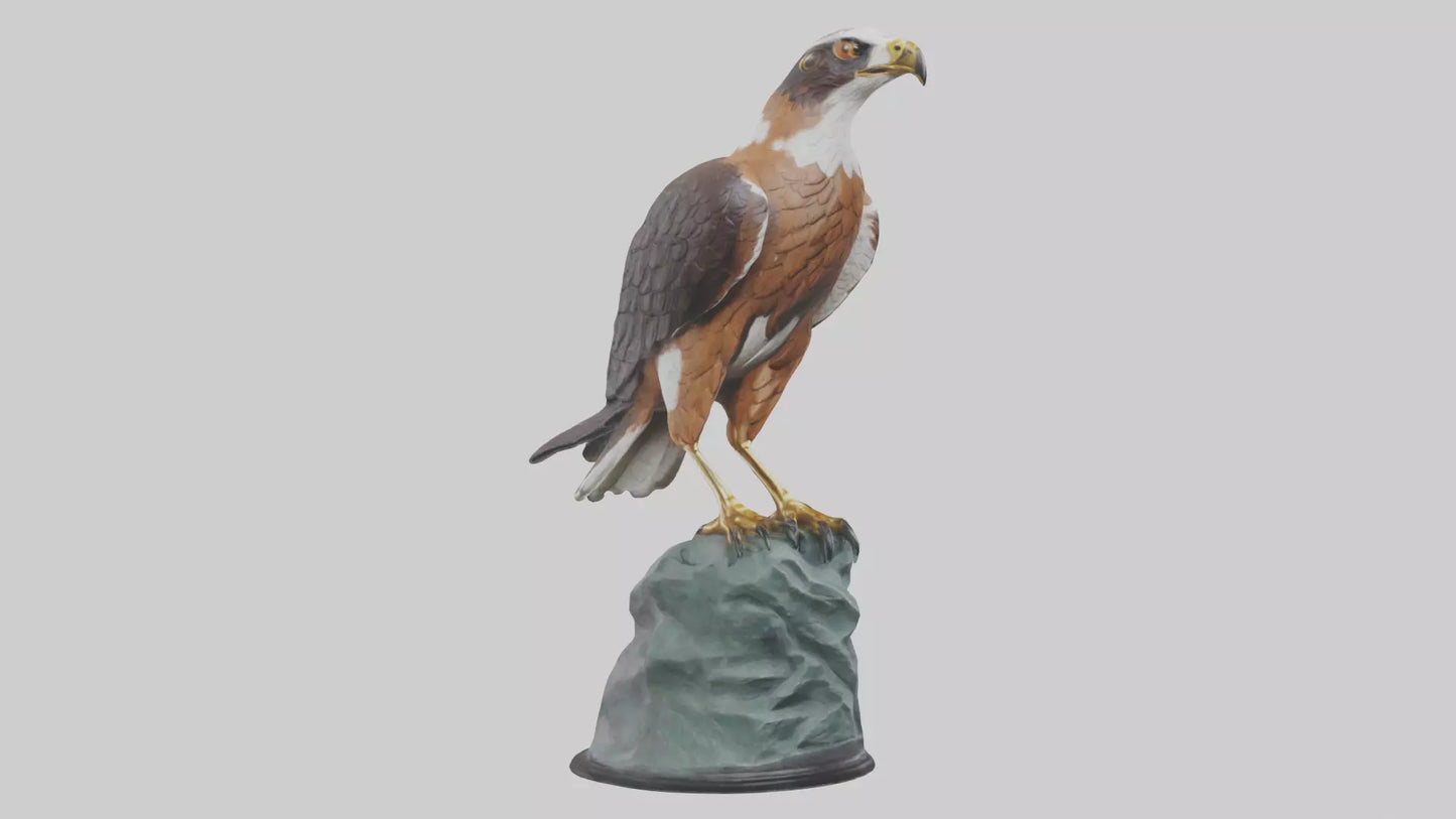 Montagus Harrier statue model 3D model