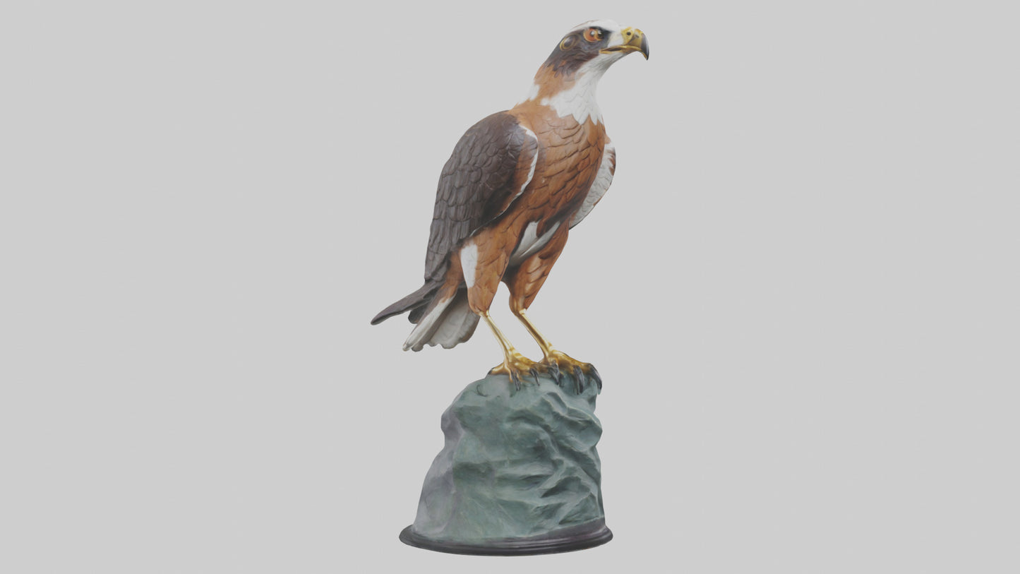 Montagus Harrier statue model 3D model