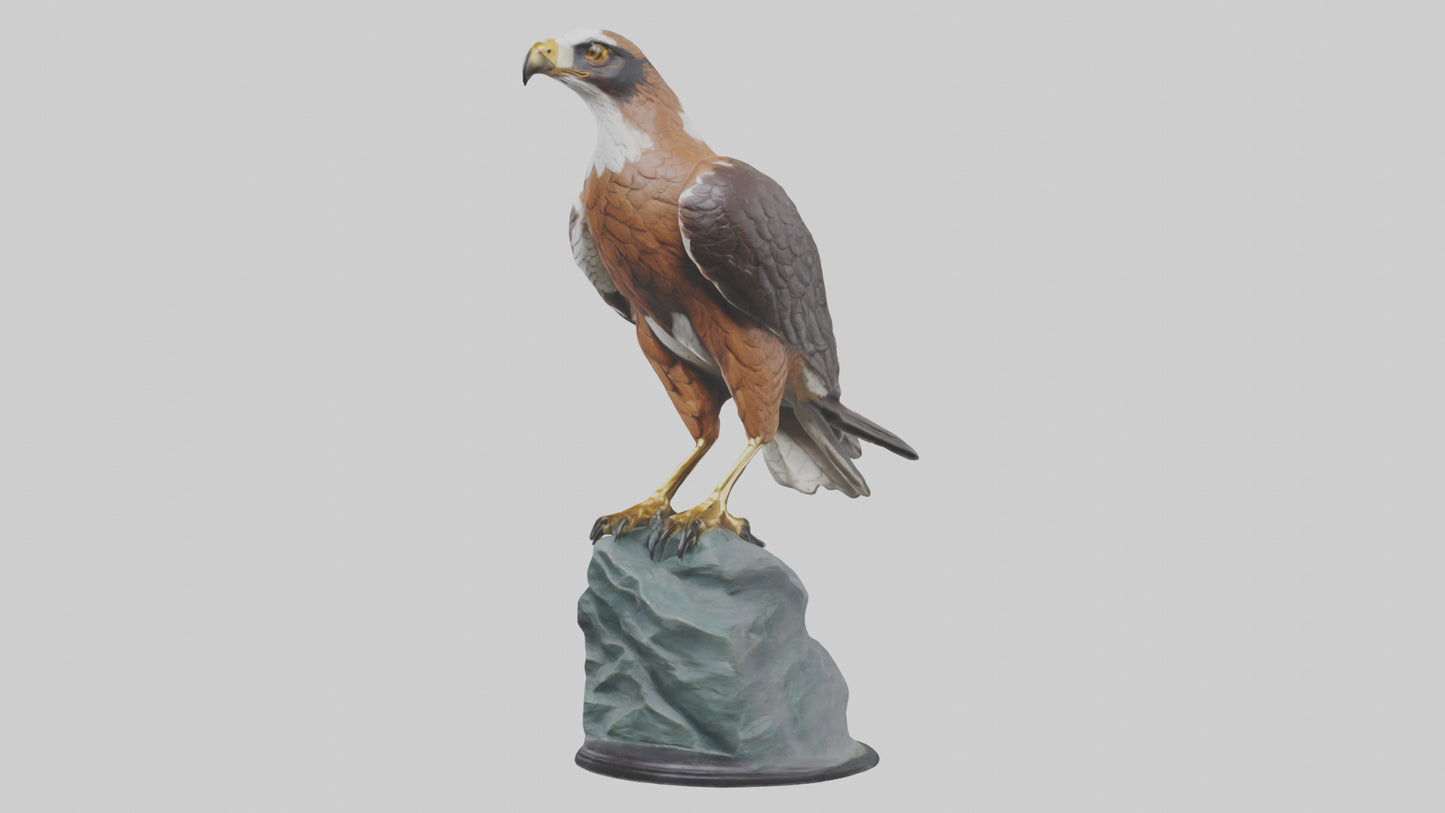 Montagus Harrier statue model 3D model