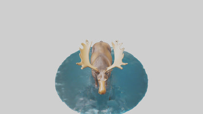 3D model Moose standing in water model VR / AR / low-poly