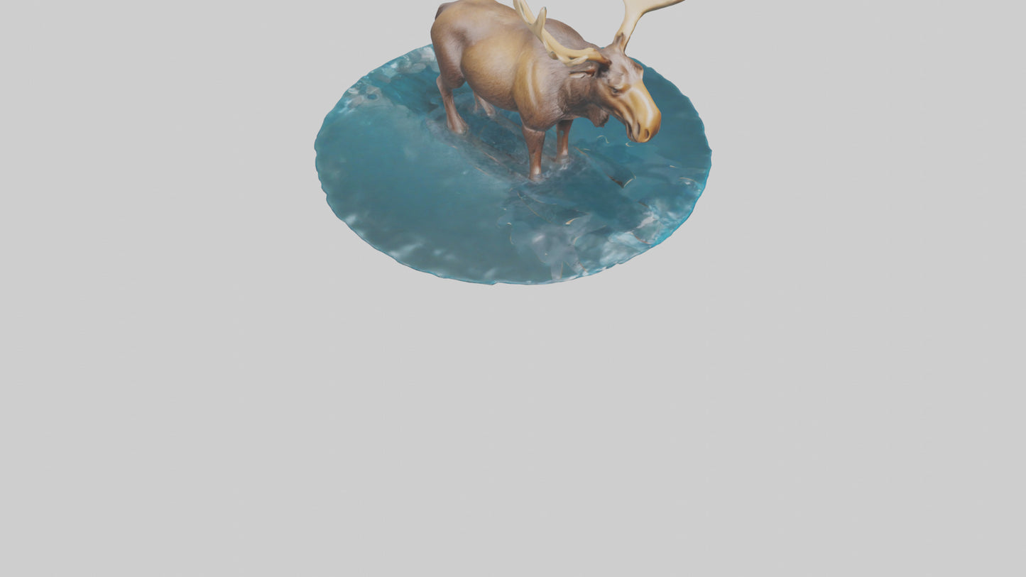 3D model Moose standing in water model VR / AR / low-poly