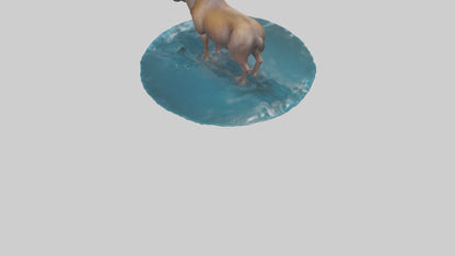 3D model Moose standing in water model VR / AR / low-poly