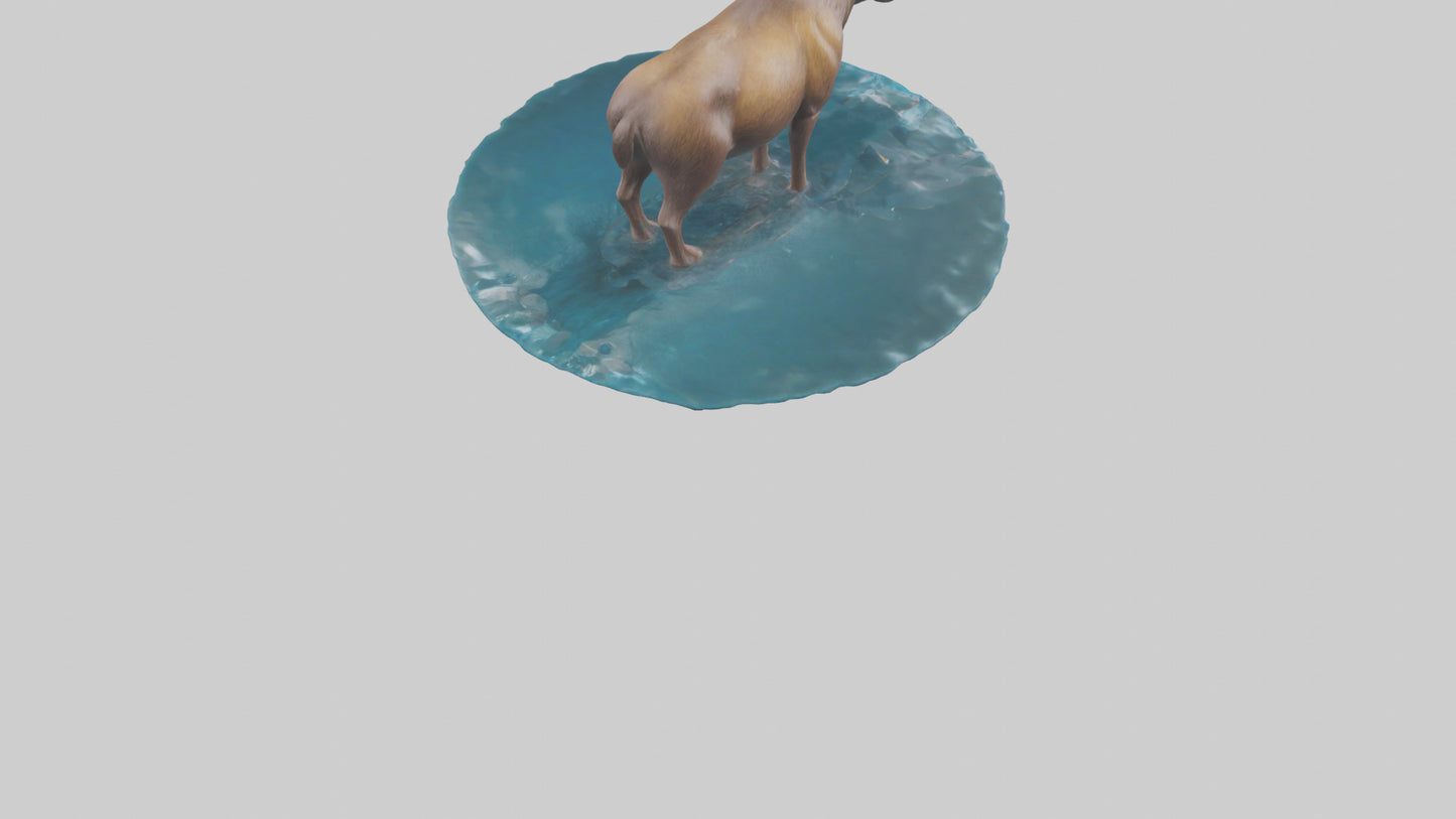 3D model Moose standing in water model VR / AR / low-poly