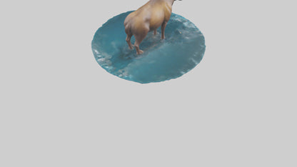 3D model Moose standing in water model VR / AR / low-poly