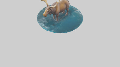 3D model Moose standing in water model VR / AR / low-poly