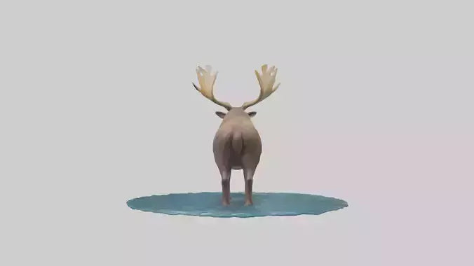 3D model Moose standing in water model VR / AR / low-poly