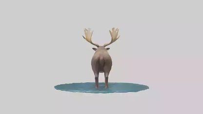 3D model Moose standing in water model VR / AR / low-poly