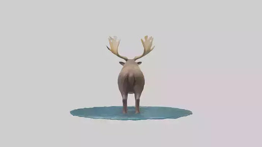 3D model Moose standing in water model VR / AR / low-poly
