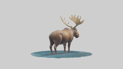 3D model Moose standing in water model VR / AR / low-poly