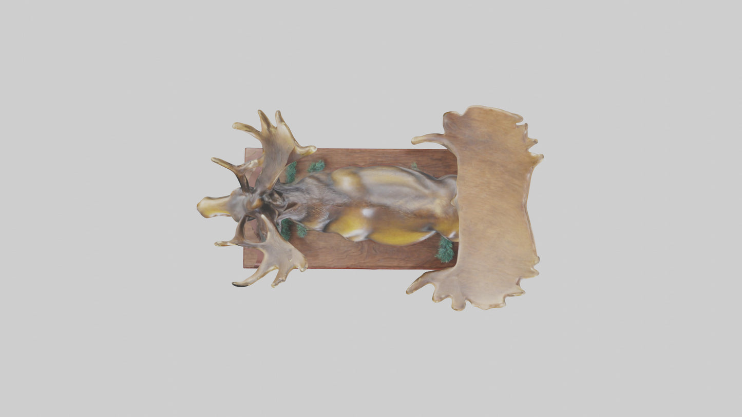 3D model Moose statue model VR / AR / low-poly