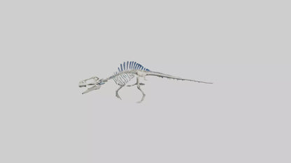 3D model Mosasaurus Skeleton model VR / AR / low-poly