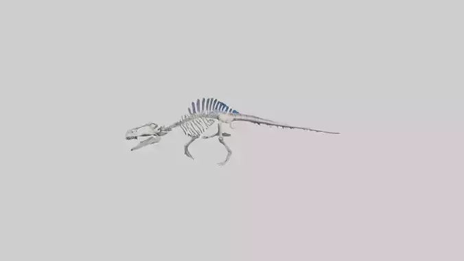 3D model Mosasaurus Skeleton model VR / AR / low-poly