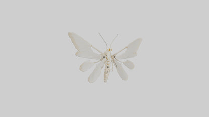 3D model Moth Skeleton model VR / AR / low-poly