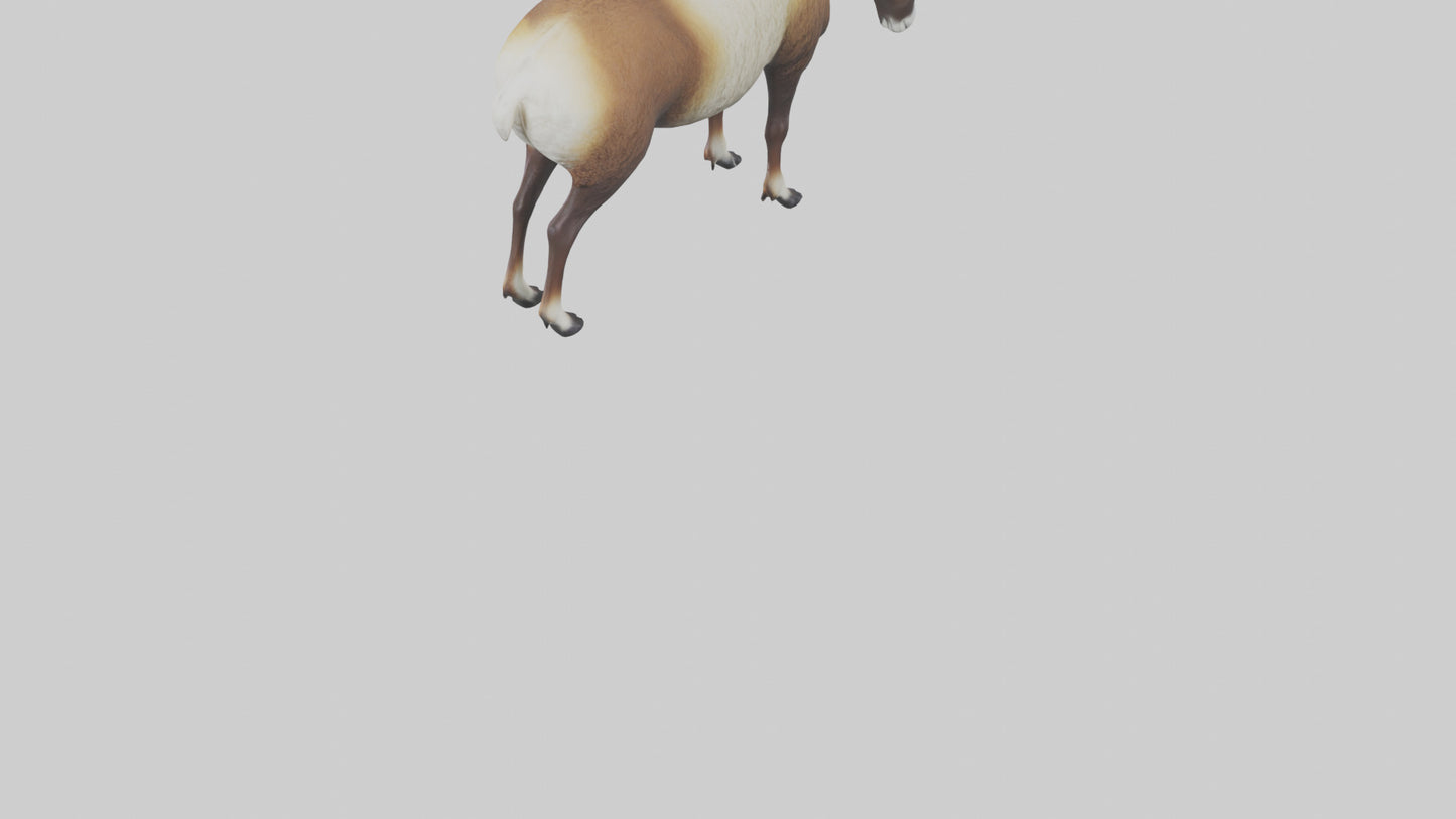 3D model Mouflon sheep grazing model VR / AR / low-poly