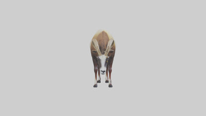 3D model Mouflon sheep grazing model VR / AR / low-poly