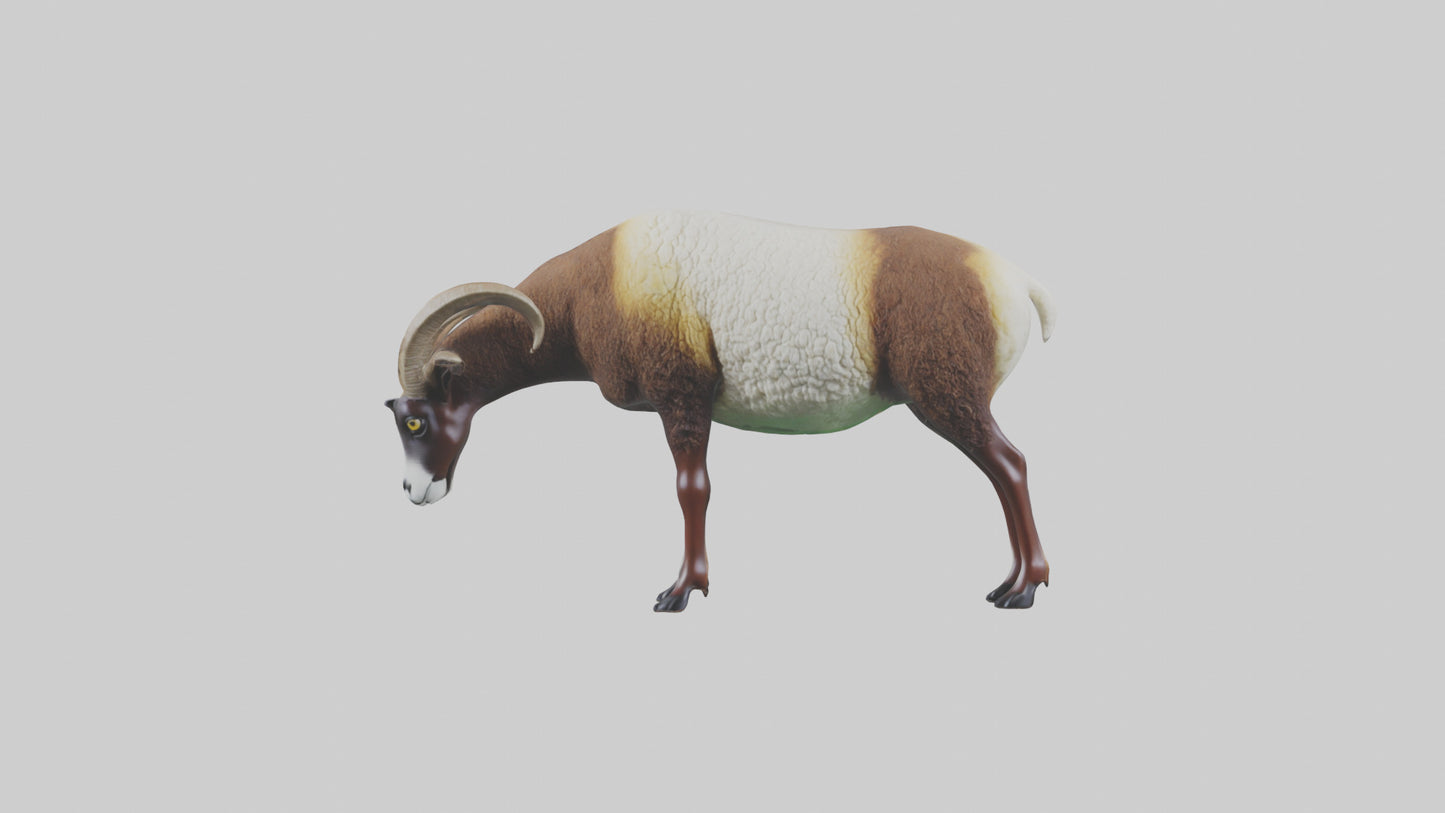 3D model Mouflon sheep grazing model VR / AR / low-poly