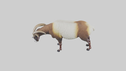 3D model Mouflon sheep grazing model VR / AR / low-poly