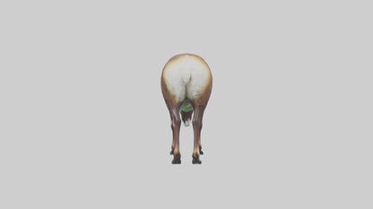 3D model Mouflon sheep grazing model VR / AR / low-poly