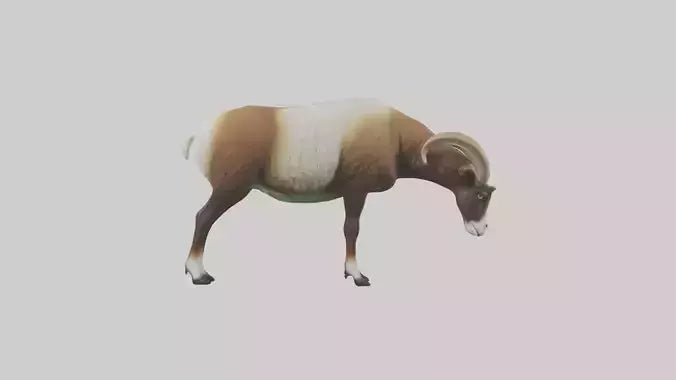 3D model Mouflon sheep grazing model VR / AR / low-poly