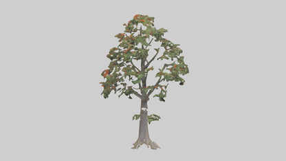 Mountain Ash tree model VR / AR / low-poly