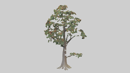 Mountain Ash tree model VR / AR / low-poly