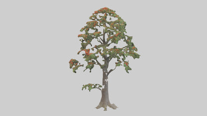 Mountain Ash tree model VR / AR / low-poly