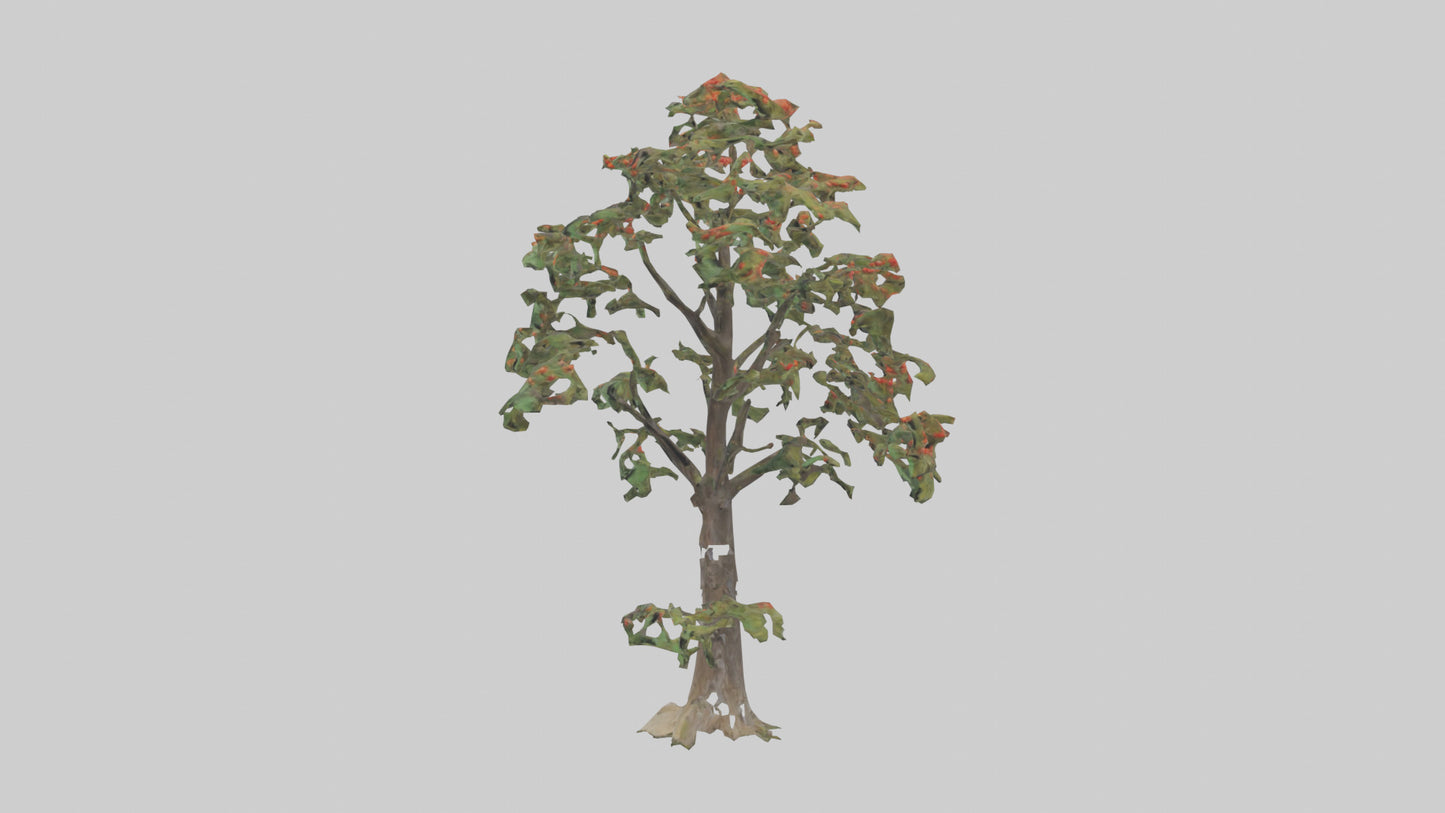 Mountain Ash tree model VR / AR / low-poly