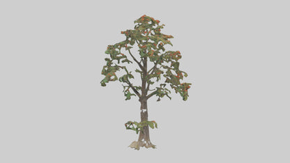 Mountain Ash tree model VR / AR / low-poly