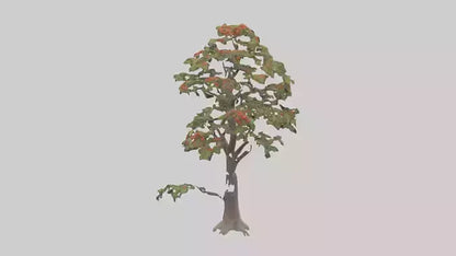 Mountain Ash tree model VR / AR / low-poly