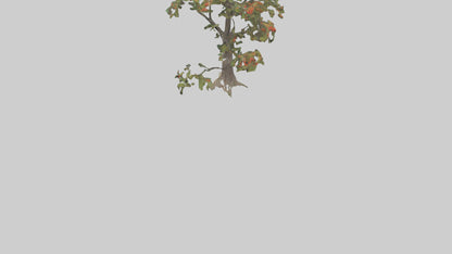 Mountain Ash tree model VR / AR / low-poly
