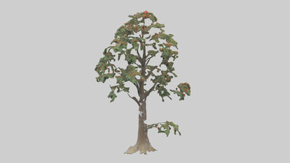 Mountain Ash tree model VR / AR / low-poly